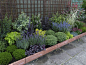 Evergreen Plants and Garden Borders from Garden On A Roll Ltd.  Great idea!  Lots of other different planting schemes too.