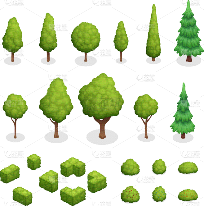 植物群,公园,清新,环境,云杉,春天,装...