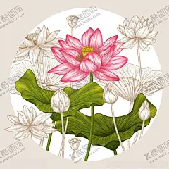 手绘花卉 【酷图网】手绘花卉,水彩花卉,花卉素材,玫瑰花,莲花,叶子,水彩叶子,树叶,手绘花朵,清新水彩,清新,矢量花,唯美,花束,花朵,植物,花卉手绘,花卉插画