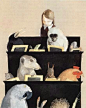 插画师  Lisbeth Zwerger ​​​​