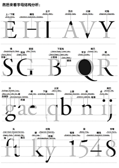 Re1co采集到英文字体