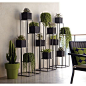 Add Interest with Plant Stands: Fun plant stands are an easy way to add an extra dash of style to your plant collection!: 