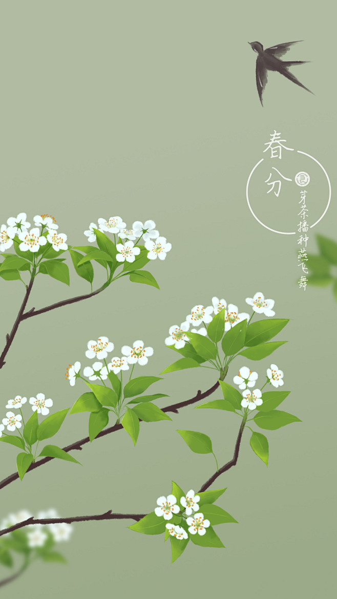 春分梨花手机壁纸丰盛良食手绘插画节气