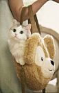 狐狸&馒头  布偶猫 @郭斯特