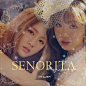 senorita-gidle
楚乔海报
禁一切