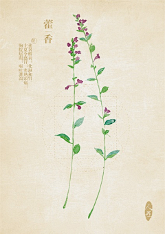 木槿物语ss采集到插画2