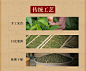 小师姐评茶福鼎白茶贡砖老寿眉2015巧克力形砖茶100g枣香白茶-淘宝网