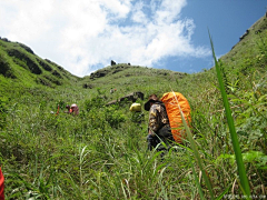 Cubo采集到重返十万大山母猪河（