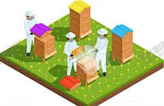 蜜蜂 【酷图网】蜜蜂,蜂蜜,昆虫,手绘,插画,Ai矢量,图片素材