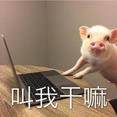 Crush丶采集到表情包