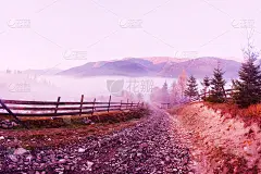 秋天。下降。宁静的晨秋全景，森林，雾和道路，去山-形象在紫色的颜色