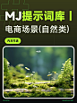 ⭐MJ提示词 | 电商场景(自然类)