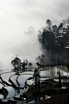 千落影寻采集到背景