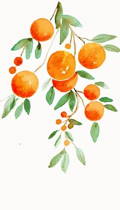 (1) Pinterest