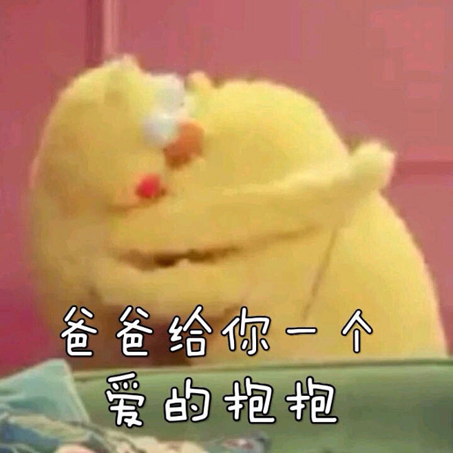 鹦鹉兄弟