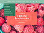 Robin - Cute & Colorful Blog Theme