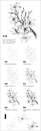 本案例摘自爱林文化主编、人民邮电出版社出版的《黑白花意！笔尖下的87朵花之绘》http://product.dangdang.com/23706389.html