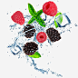 在水中的水果高清素材 新鲜水果 果酱 桑葚 浆果 免抠png 设计图片 免费下载