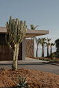 Casa Cook Chania度假酒店，希腊 / K-studio + Lambs & Lions : 将“悠闲奢华”的理念融入克里特岛沿岸的山丘地带
