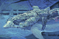 “Syd Mead”的图片搜索结果