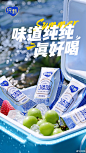@纯甄 的个人主页 - 微博