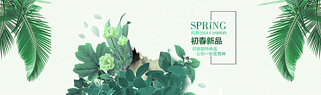 小清新背景,花朵背景,树叶背景,花瓣背景...