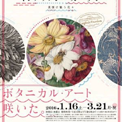 iris_iris采集到版式