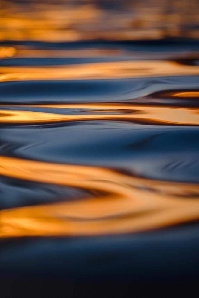 orange and blue wate...