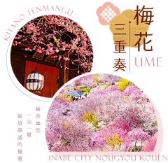 馬年賀歲吉．琵琶蒼湖邸 ｜ 日本心旅行 ｜ Classic Japan ｜ 日本旅遊、東南亞、中國大陸，頂級團體旅遊推薦｜晴日旅行社