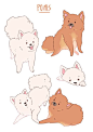 Poms by lana-jay.deviantart.com on @DeviantArt