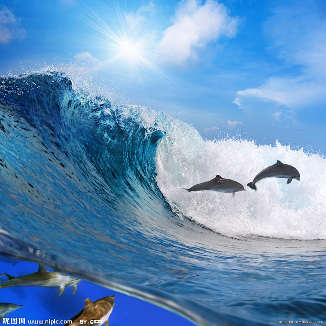波浪海浪中的海豚