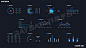 RayData-Asset