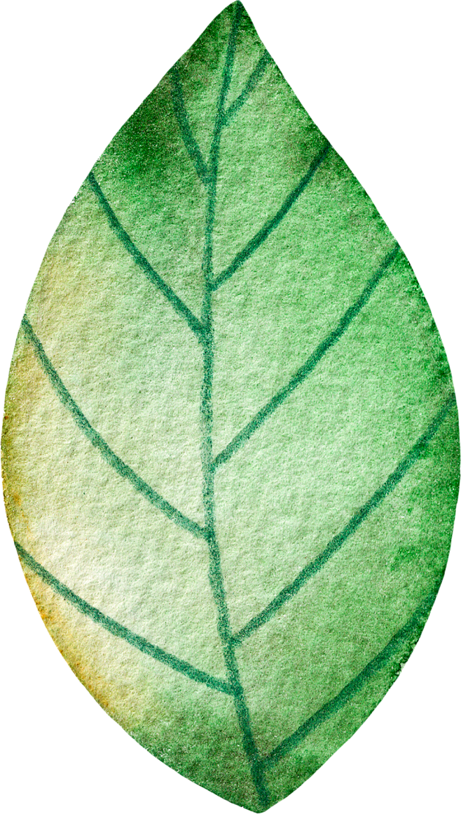 【PNG素材点击图片可下载】植物花卉 植...