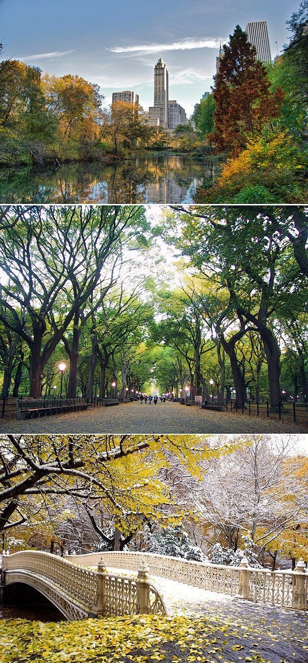 Central Park, New Yo...