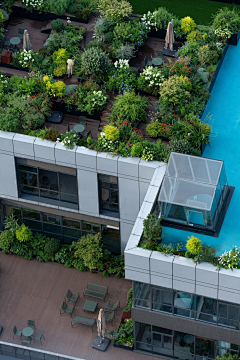 WNX1采集到Landscape ︱屋顶花园 Roof Garden