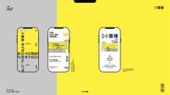 Next_Real采集到vi