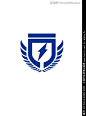 闪电盾牌logo