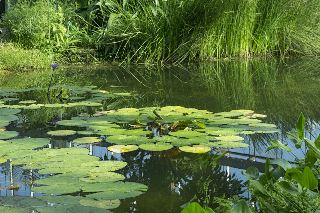 Parks & Gardens (47)