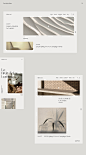Search | Behance 上的照片、视频、徽标、插图和品牌