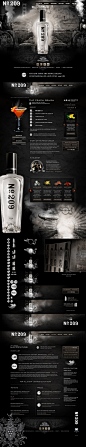 209 Gin on Behance (1000×5203) #web#