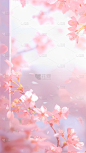 背景通用粉色窗边花朵背景场景图片素材