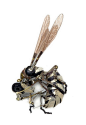 Steampunk Wasp