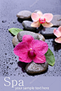 组成与美丽盛开的兰花，有水滴和水疗中心的石头，在灰色的背景上