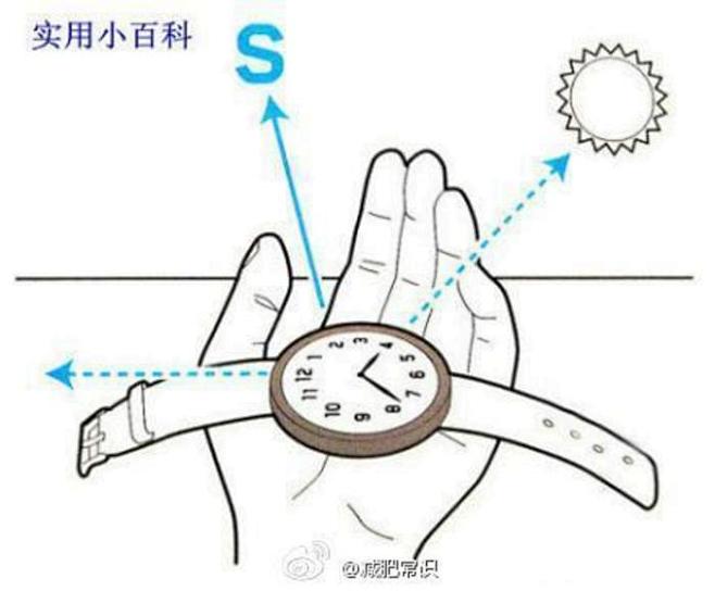 【用手表判断方向】把当时的时间除以2，得...