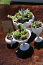 succulent planter arrangements for table and aisle decor using a mix of white milk glass goblets