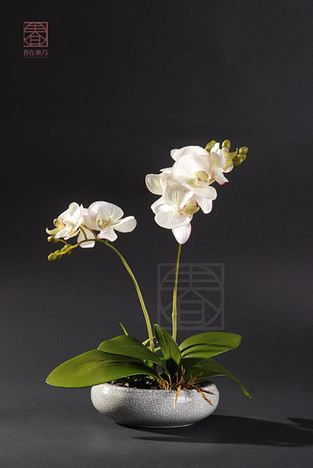 新中式 禅意插花