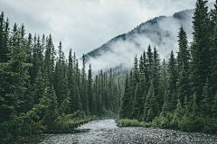 蓝紫陌采集到中式背景