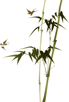 4TNun_简采集到竹  png