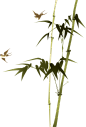 112dc18d9e5b58c9df2ac93eafbe7acf