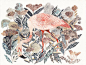 Michelle Morin 自然与鸟 装饰艺术欣赏 装饰画 自然 环保 插画 手绘 图案 动物插画 